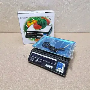 Stable Performance Acs 30 Upto 30kgs Electronic Digital Weighing Scale