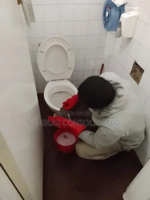 Toilet Destaining