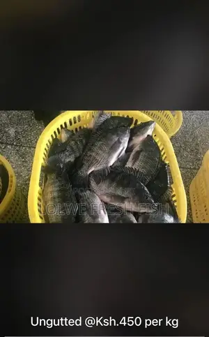 Lolwe Fresh Fish
