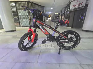 BDF 16" Carbon Steel Bicycle.