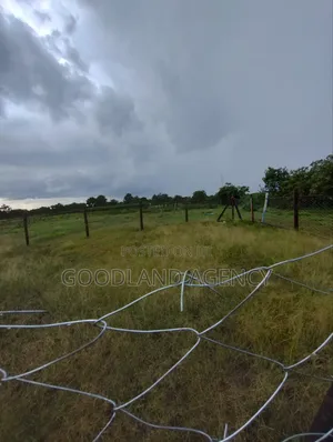 40×80 Plot in Nguluni