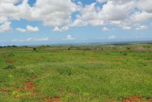 Prime Affordable Quarter Acre Plots Overlooking Ocean