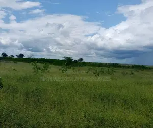 Prime Affordable 30-Acre Fertile Ranches in Malindi