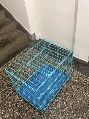 Dog Crate for Sale