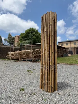 Bamboo Privacy Screen
