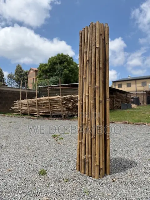 Bamboo Privacy Screen