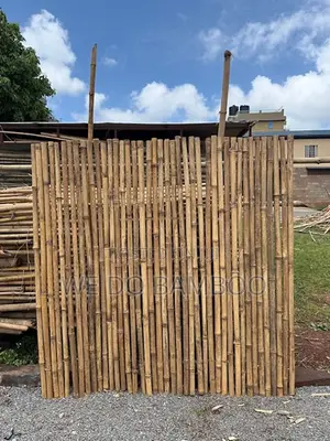 Bamboo Privacy Screen
