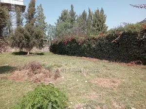 1/8 Plot Behind Almond Grove