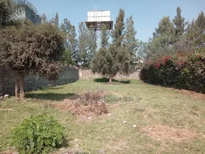 1/8 Plot Behind Almond Grove