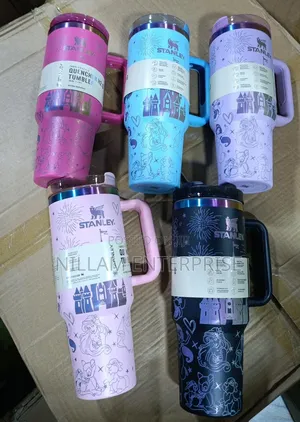 Stanley Quencher Iconic Disney Theme Engraved Tumbler