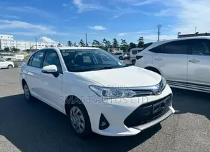 Toyota Axio 2019 Pearl