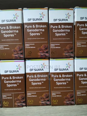 Supplement