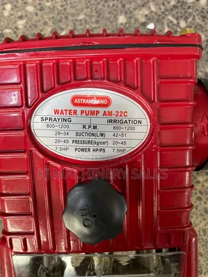 Astramilano Am-22c High Pressure Power Sprayer Pump