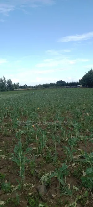 I Acre for Sale, for Mixed Use, Clear View of Lake Naivasha