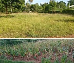 Two Areas in Kilifi North Watamu