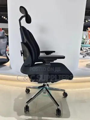 Dual Back Orthopedic Chair With Lumber Support