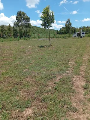 Affordable Plots for Sale in Kikuyu-Thigio
