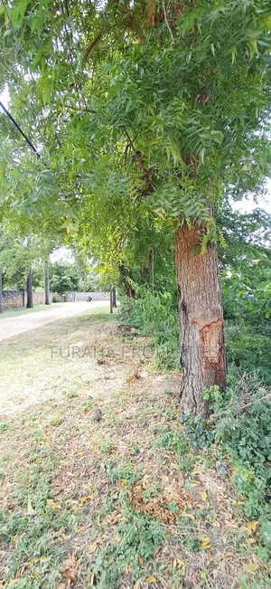 For Sale 1 Acre Plot at the Creek Mtwapa