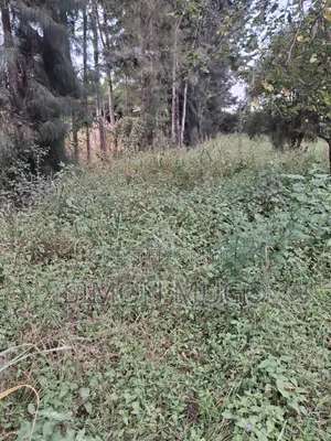 Kamiti Road Commercial 1/2 Acre to Let Fronting Main Kamiti Road