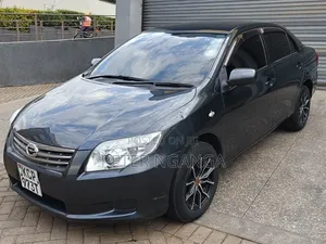 Toyota Axio 2012 Gray