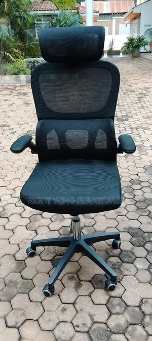 Ready in Stock Black Ergonomic and Lumbar Support Office Chair -