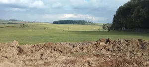 347 Acres of Prime Agricultural Land for Sale in Kuresoi North.