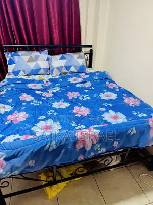 Metal Bed With Mattress
