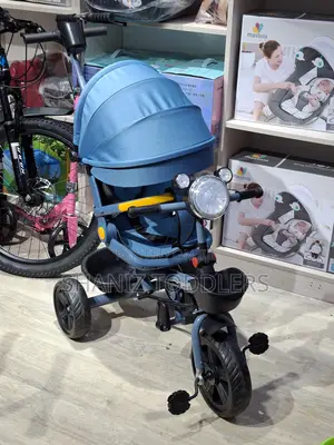 Kids 3-Wheel Bike With Seat Belt, Shade Footrest