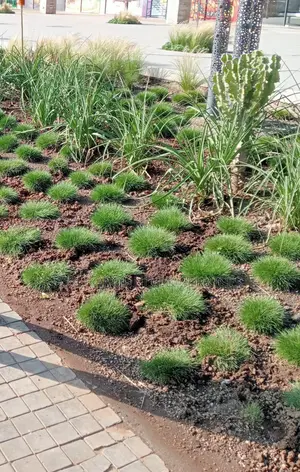 Landscaping, Gardening