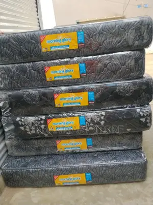 5x6 Morning Glory 10 Inch Quilted Mattress at 9000