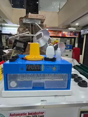 64eggs Automatic Eggs Incubator