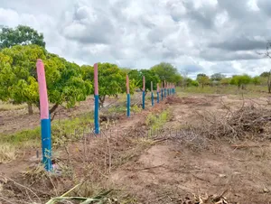 Shiners Gardens Matuu Phase 10