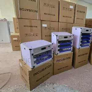 204eggs Automatic Incubator