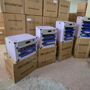 204 Eggs Incubator Automatic