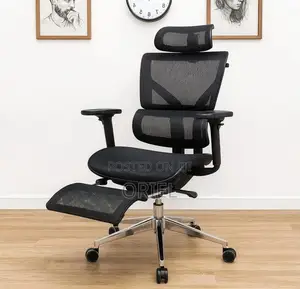 Office Chair : Executive Orthopedic Office Chair With Footrest