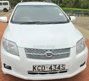 Toyota Corolla Fielder 2010 White