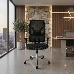Office Chair; Orthopedic Modern Chair With Arm Rest With Back Support