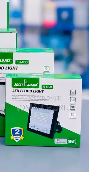 50watts Electric Floodlight