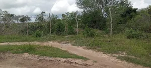30-Acre of Land