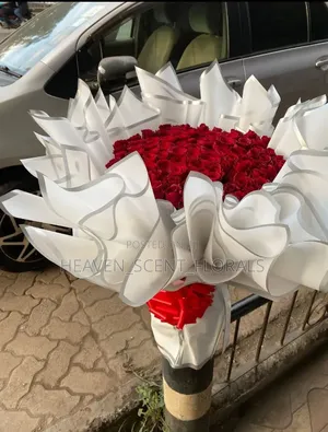 Romantic Red Rose for Love
