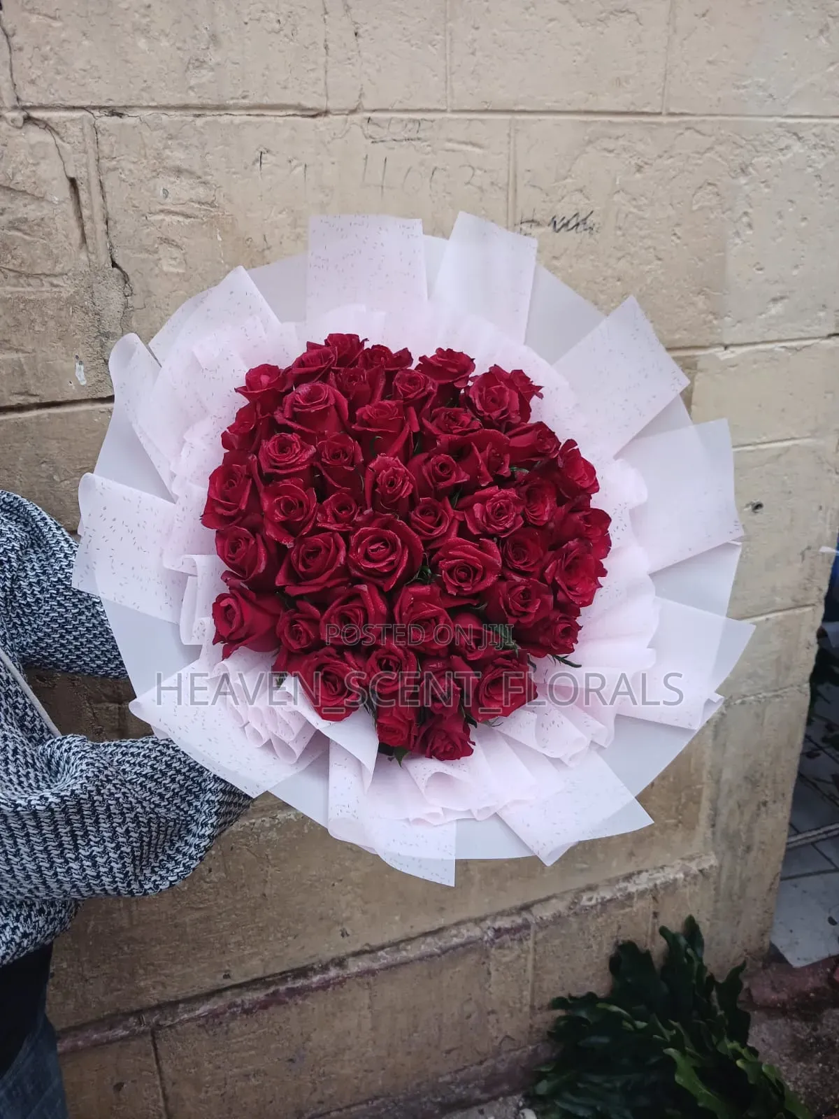 Romantic Red Rose for Love