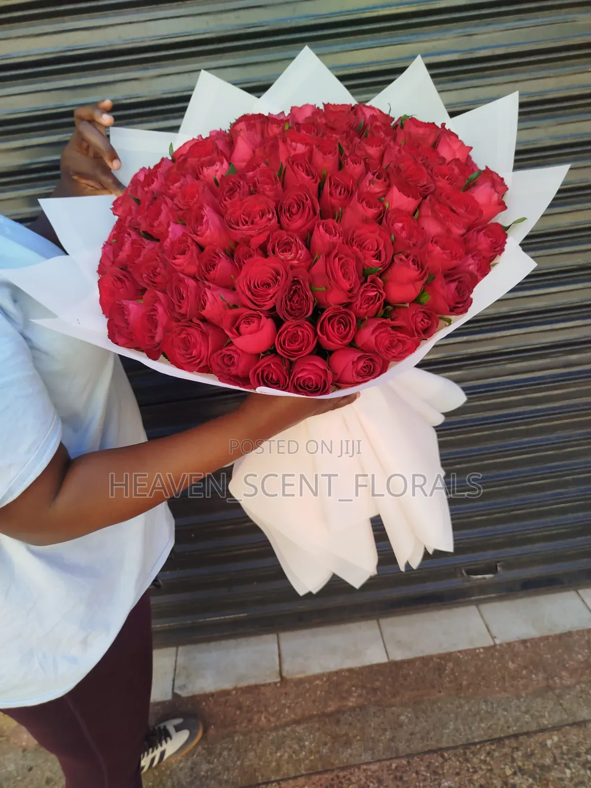 Romantic Red Rose for Love