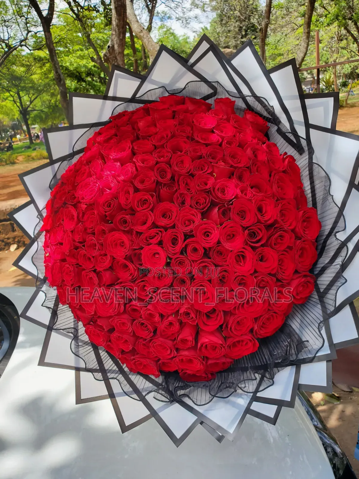 Romantic Red Rose for Love