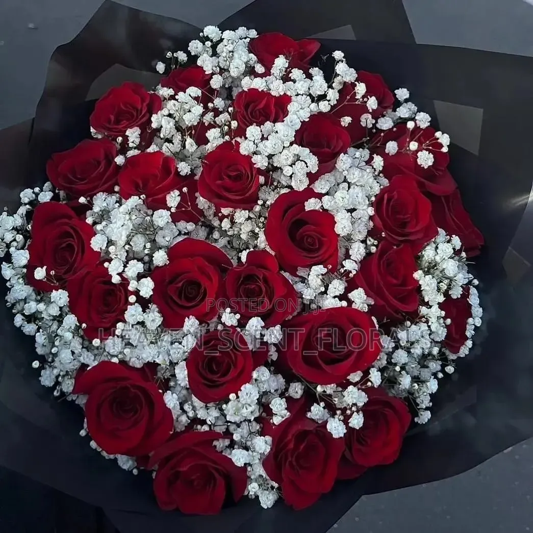 Romantic Red Rose for Love