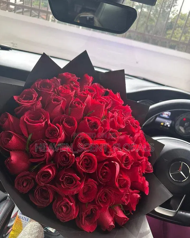 Romantic Red Rose for Love