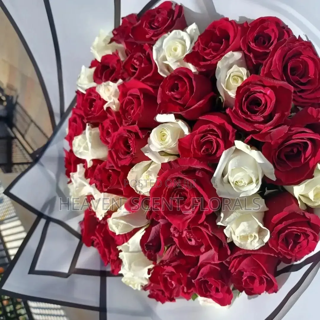 Romantic Red Rose for Love