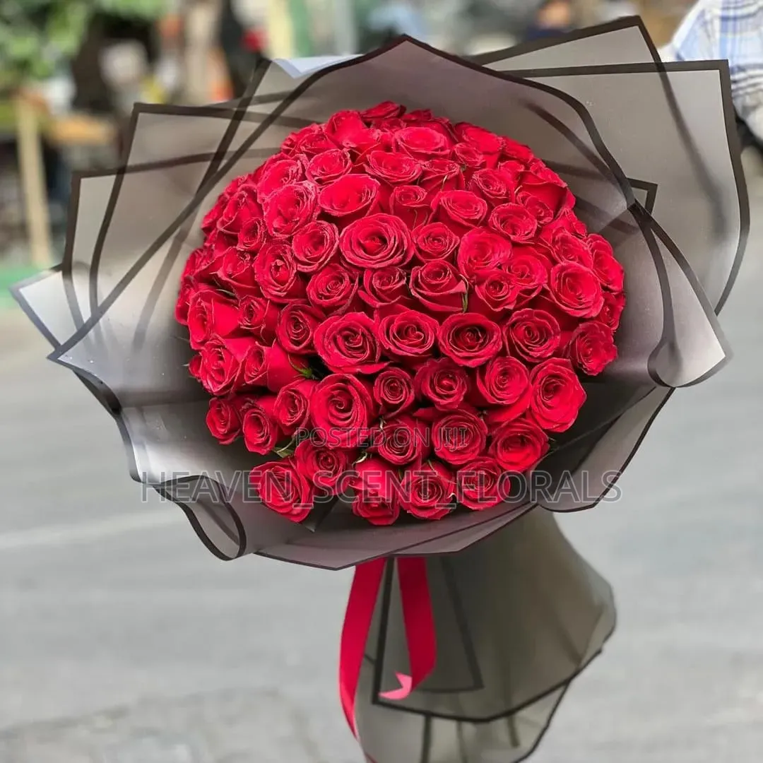 Romantic Red Rose for Love