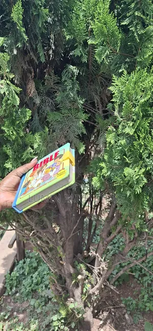 My First Handy Bible