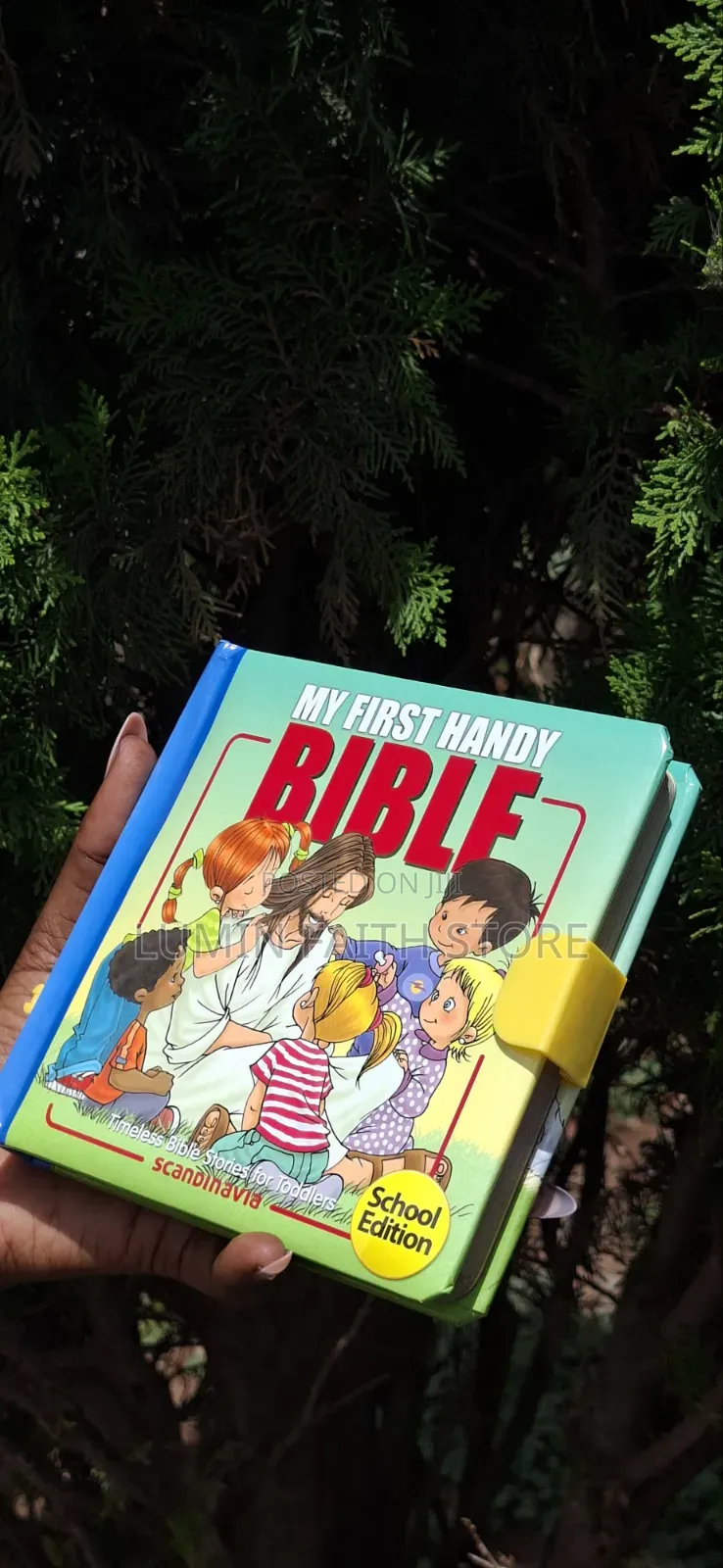 My First Handy Bible