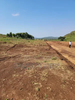 Land Offer